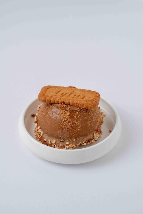 باستا كوب لوتس