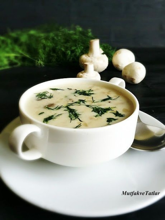 CREAM SOUP