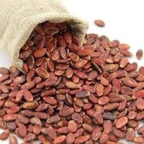 بزر أسود ايراني أحمر 600 غرام