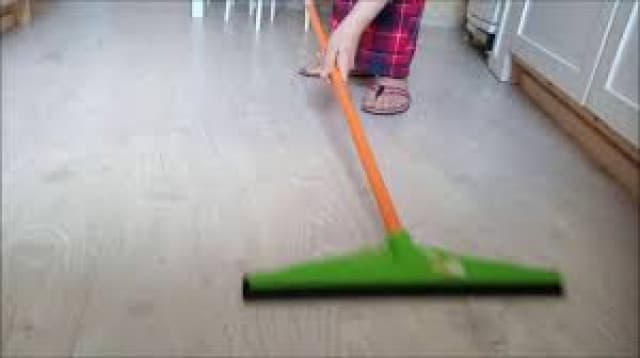 نشافة كبيرة مع عصا 