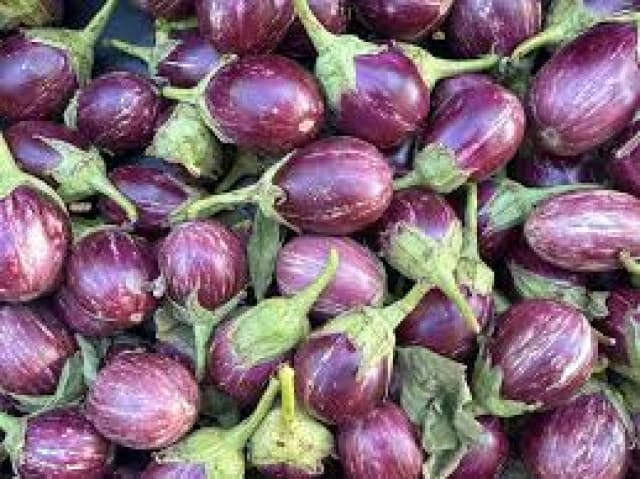 باذنجان بلدي حمصي