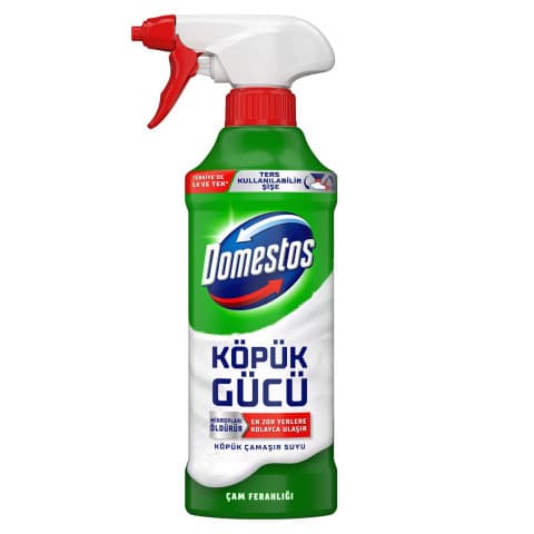 DOMESTOS KÖPÜK GÜCÜ ÇAM 450 ml