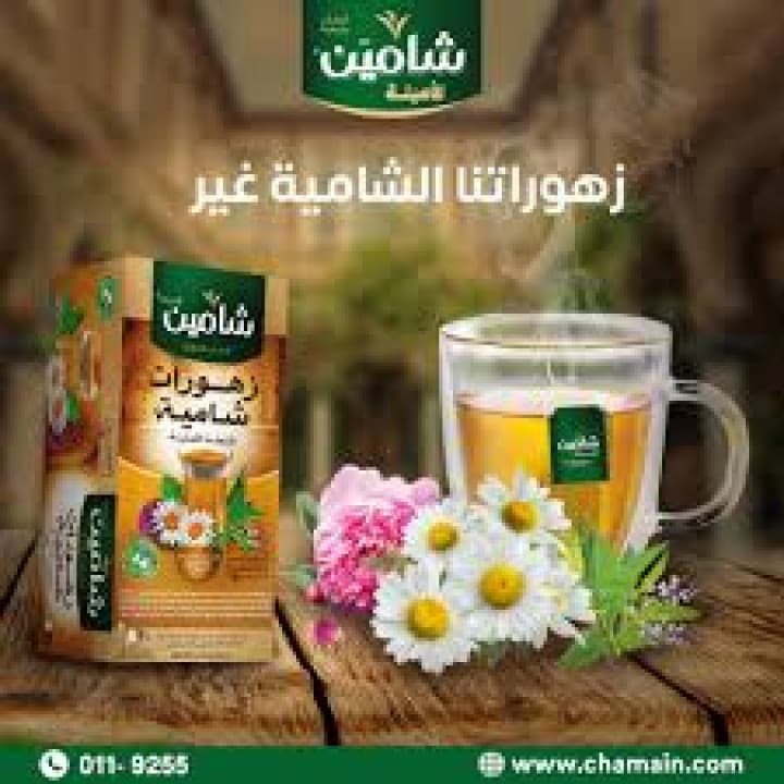 شركة شامين