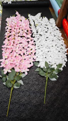 ياسمين مدلى