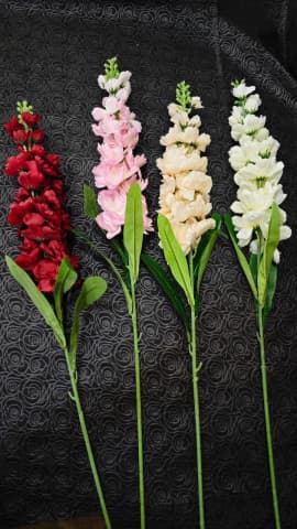 منتور