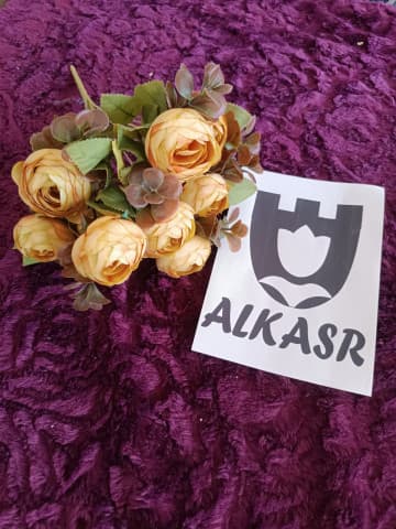 عرق فنجان *9