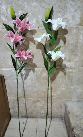 عرق ليليوم