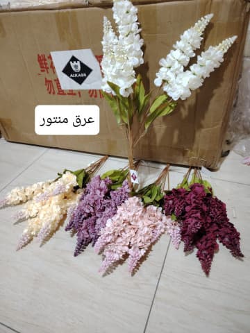 عرق منتور