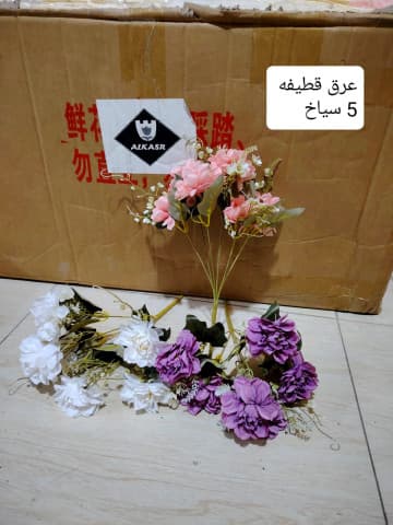 قطيفة *5