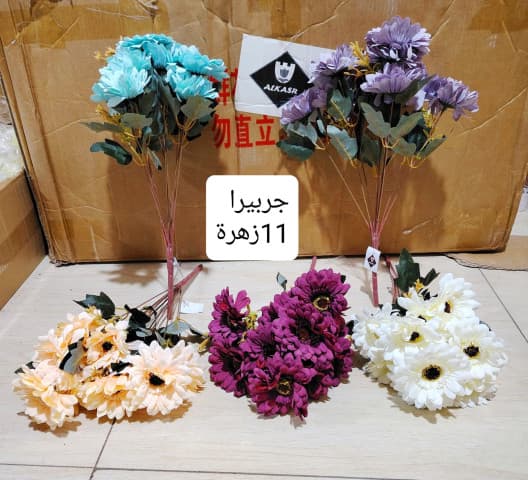 جربيرا *11