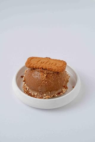 باستا كوب لوتس