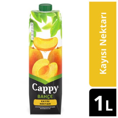 CAPPY KAYISI 1 L 