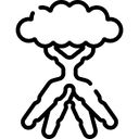سلطات
