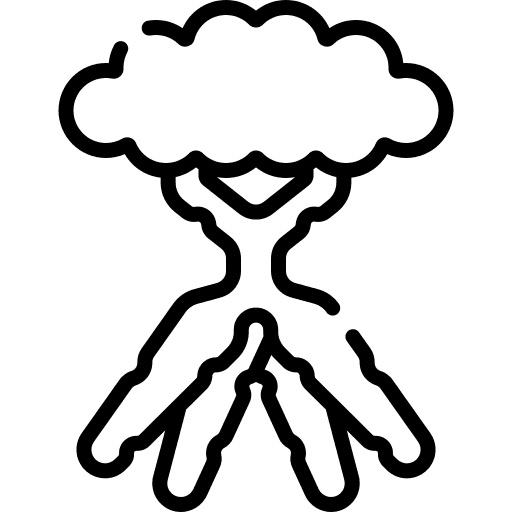 سلطات