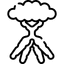 سلطات