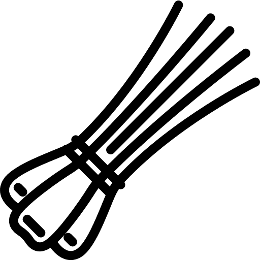 السلطات