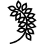 زهور