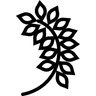 زهور