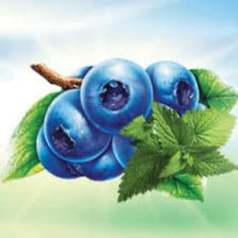 Blippe