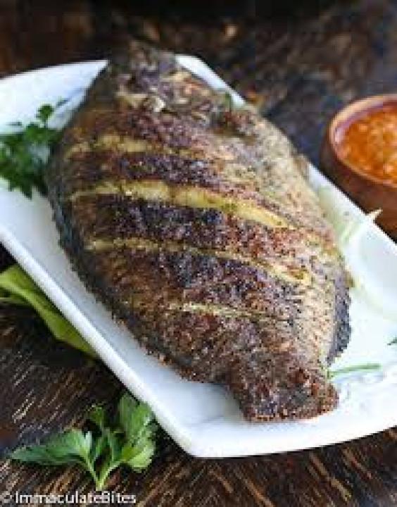 Fish
